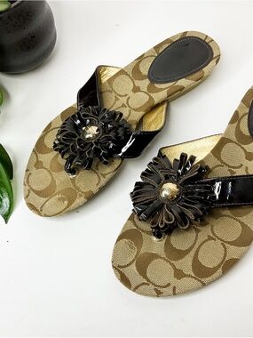 Coach Signature Canvas Thong Sandals Black Flower 9